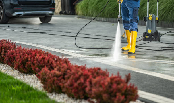 Best Driveway Pressure Washing  in San Marino, CA